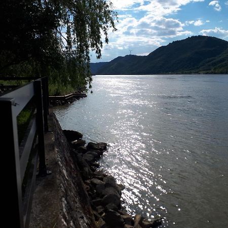 Vila Dedin Raj Golubac Exteriér fotografie