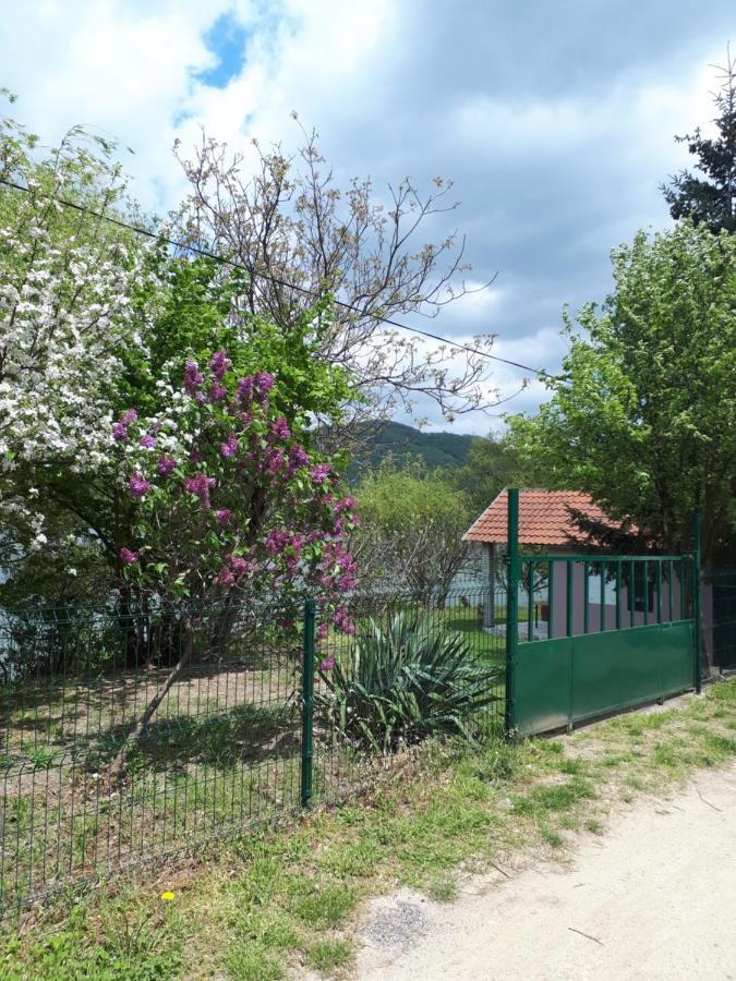 Vila Dedin Raj Golubac Exteriér fotografie