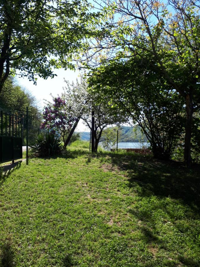 Vila Dedin Raj Golubac Exteriér fotografie