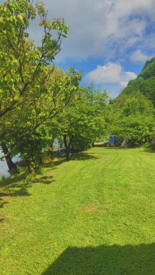 Vila Dedin Raj Golubac Exteriér fotografie