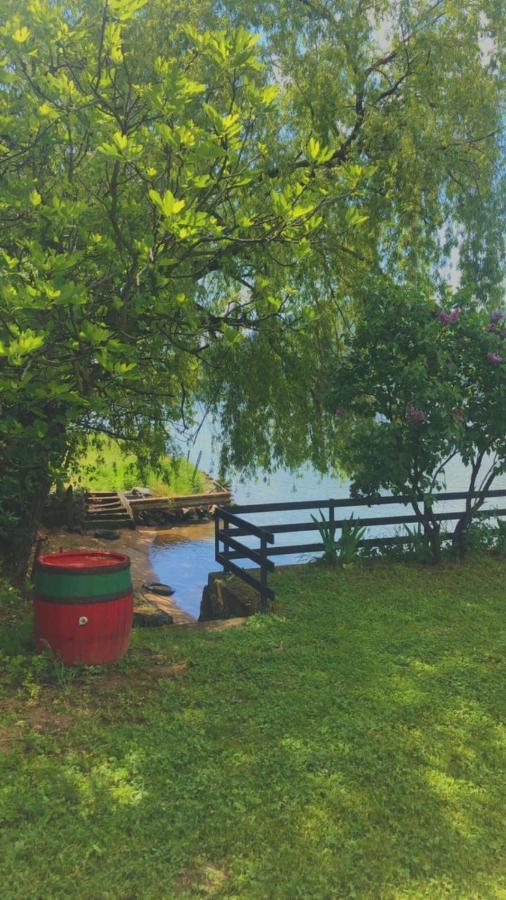 Vila Dedin Raj Golubac Exteriér fotografie