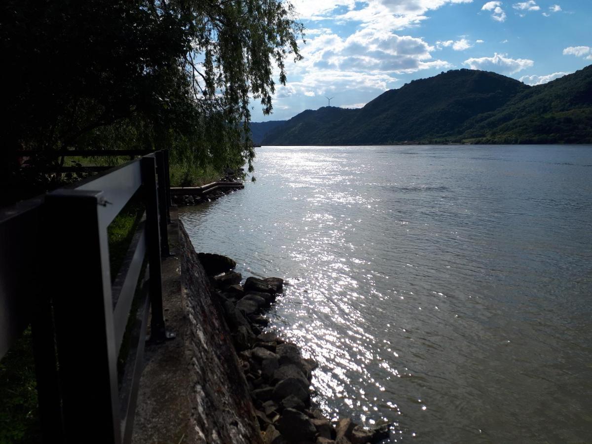 Vila Dedin Raj Golubac Exteriér fotografie